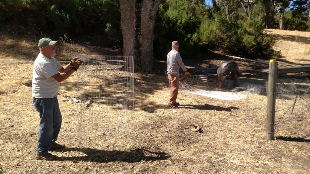 Cory, Pat and Dave making cages.